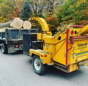 Aardvark Excavating Tree Services