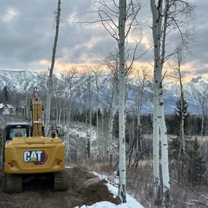Aardvark Excavating - Jackson, WY