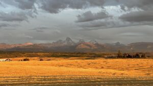 Field and Mountains